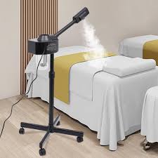 Vaporisateur Facial LEEAMHOME 750W