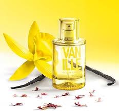 Vanille : Parfum et Beauté sur Amazon.fr