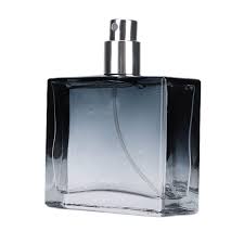 Parfum Homme 100 ml - Élégance et Fraîcheur